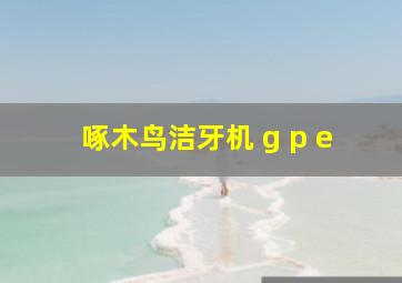 啄木鸟洁牙机 g p e